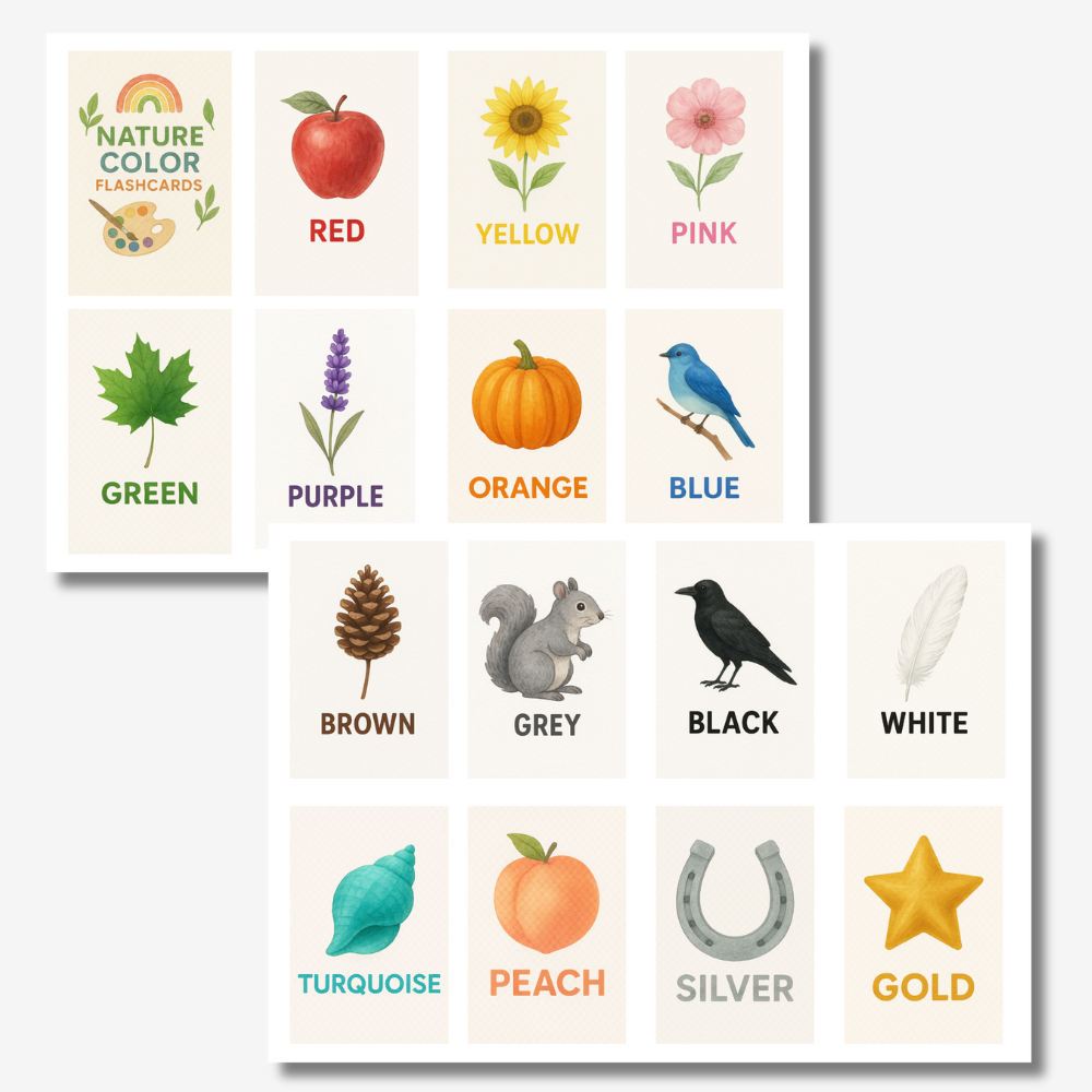 PLR Nature Color Flashcards For Kids