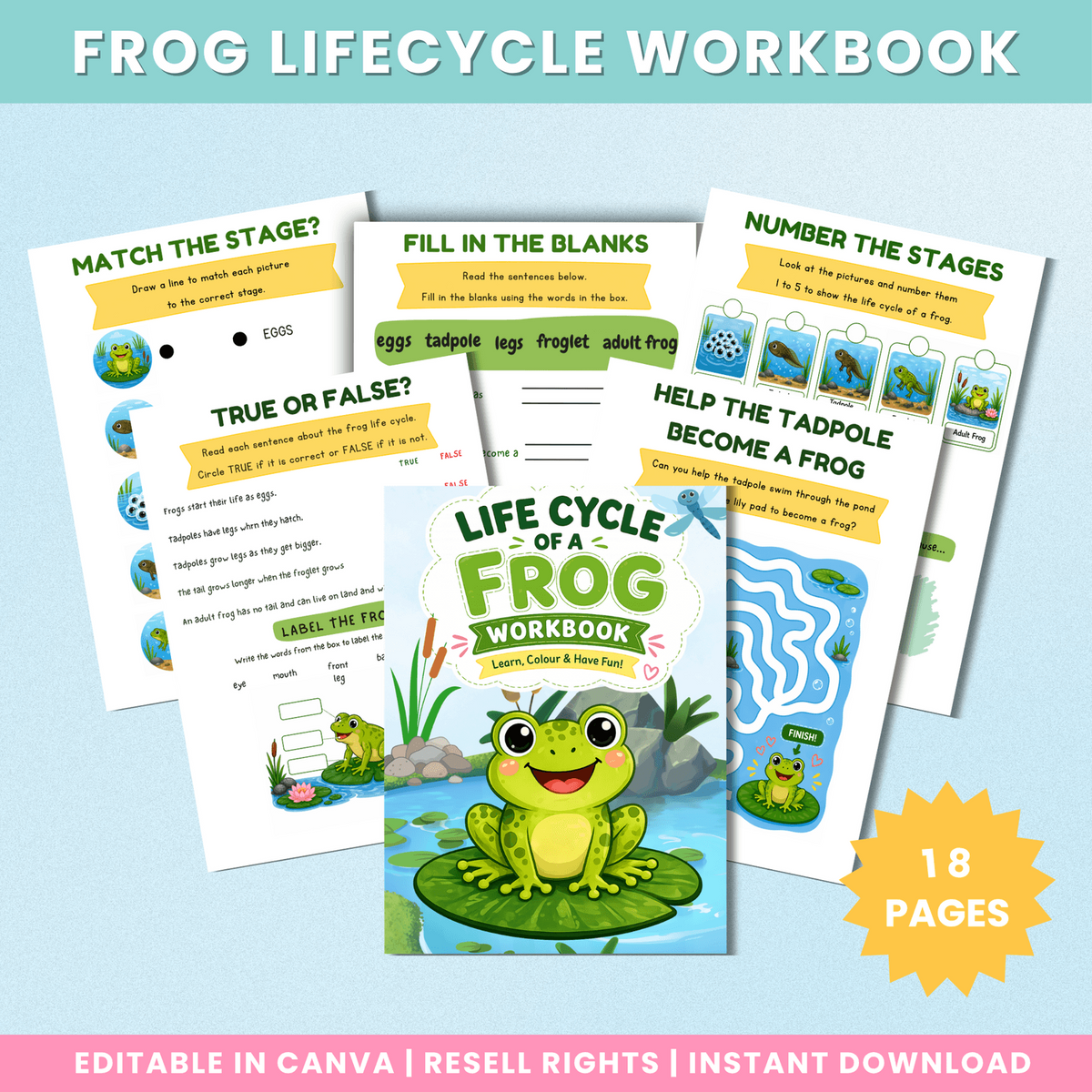 18-page Frog Lifecycle Workbook preview with frog life cycle activities