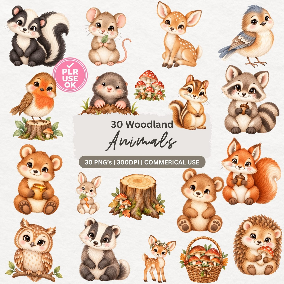 Preview of 30 woodland animal clipart PNG images