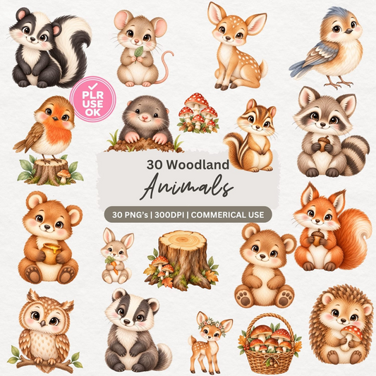 Preview of 30 woodland animal clipart PNG images